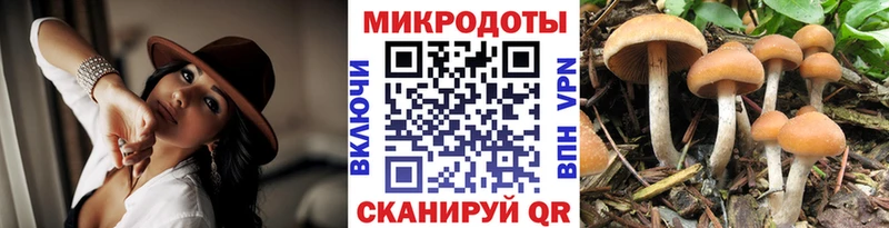 Галлюциногенные грибы MAGIC MUSHROOMS  Купить где  Нязепетровск 